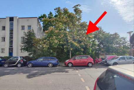 unbebautes Grundstück in Berlin - Bild 2