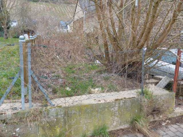 Gartengrundstück in Hatzenport - Bild 12