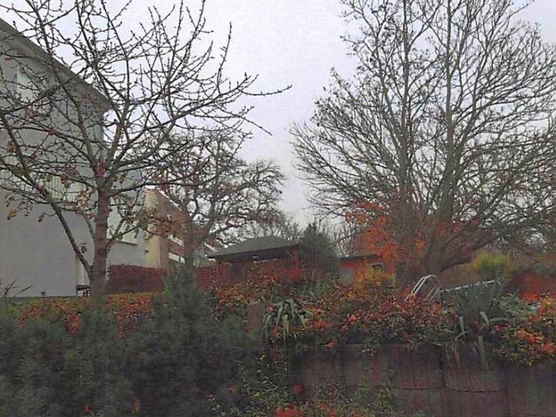 Einfamilienhaus mit Einliegerwohnung in Frankfurt (Oder) - Bild 4