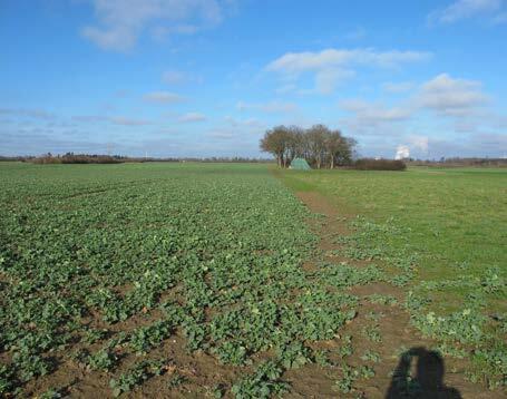 landwirtschaftlich genutzte Grundstücke in Düsseldorf - Bild 4