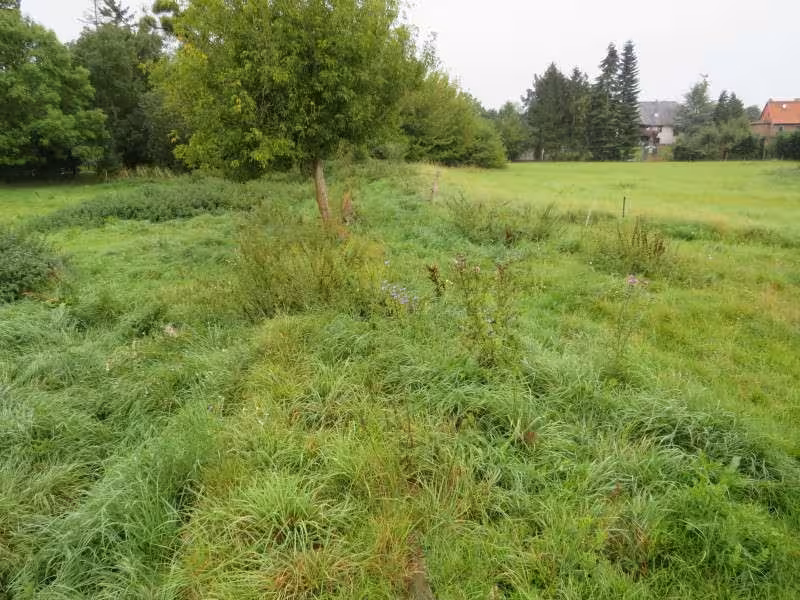 Landwirtschaftsfläche in Dahmen - Bild 1