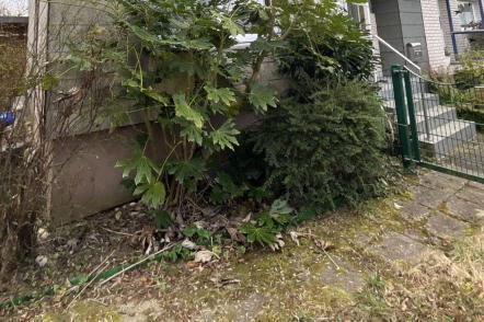 Doppelhaushälfte, Reihenendhaus in Bergisch Gladbach - Bild 4