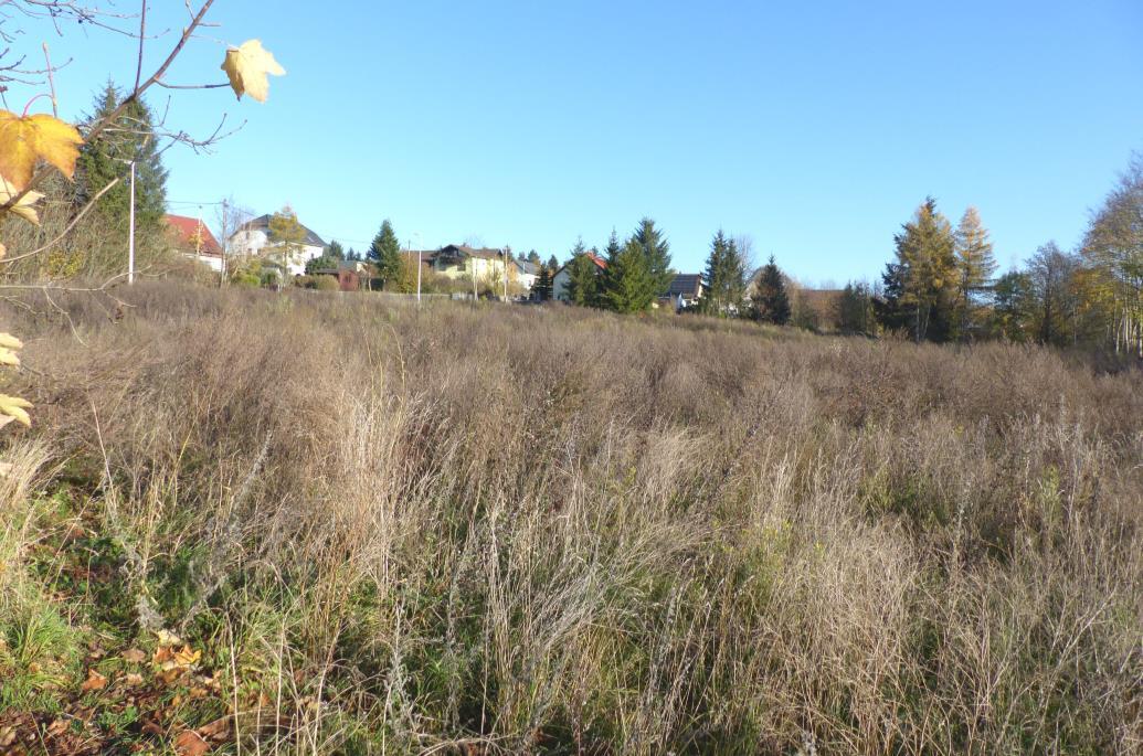 unbebautes Grundstück in Plauen - Bild 1