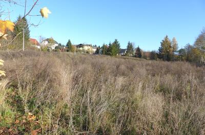 unbebautes Grundstück in Talitzer Weg  21,25,19, 08527 Plauen, Unterlosa - Bild 1