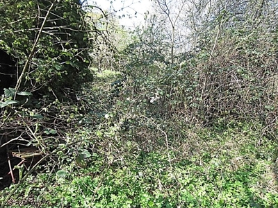 Ungepflegte Baumwiesen in Pfaffentobel, 72664 Kohlberg - Bild 2