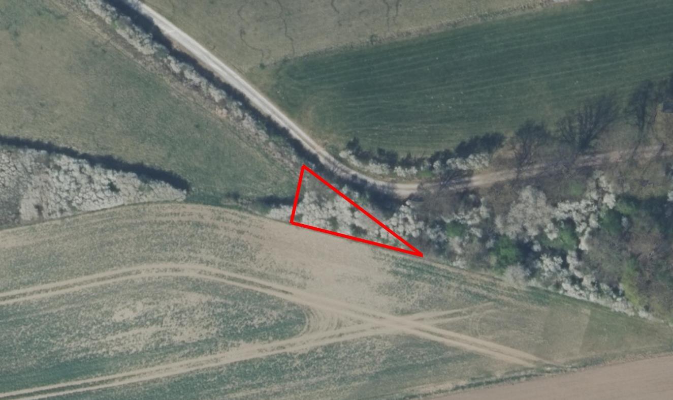 land- und forstwirtschaftlich genutztes Grundstück in Emmerthal - Bild 1