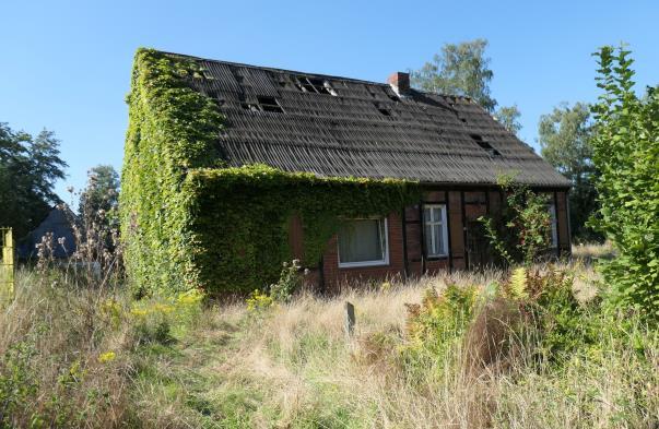 Einfamilienhaus, unbebautes Grundstück, unbebautes Grundstück, Einfamilienhaus in Greven - Bild 4