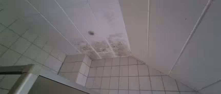 Eigentumswohnung (ab 5 Zimmer) in Gelsenkirchen - Bild 19
