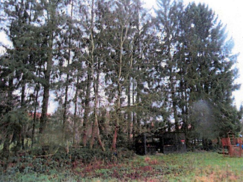 Freizeitgarten, Wald- und Landwirtschaftsfläche in Untergruppenbach - Bild 2