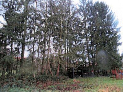 Freizeitgarten, Wald- und Landwirtschaftsfläche in Flöhberg, 74199 Untergruppenbach (Unterheinriet) - Bild 2