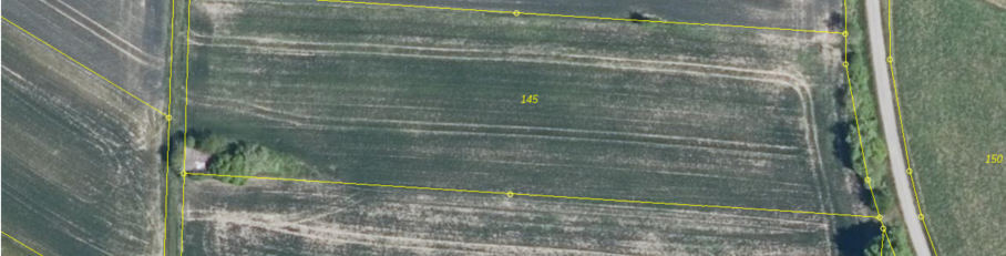unbebautes Grundstück, land- und forstwirtschaftlich genutztes Grundstück in Fürnbach - Bild 4