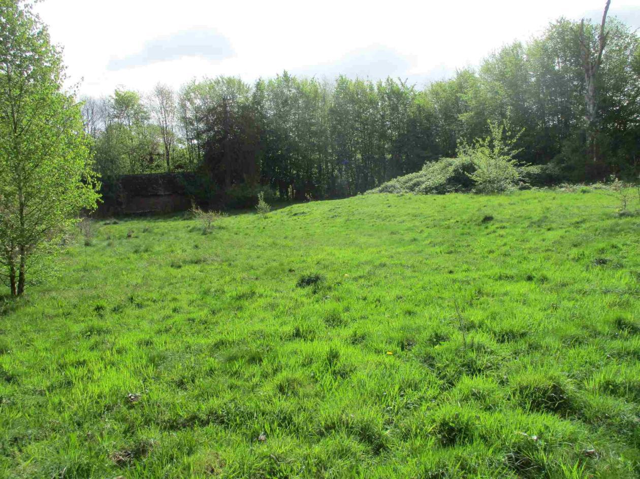 Sonstiges in Bad Rehburg - Bild 4