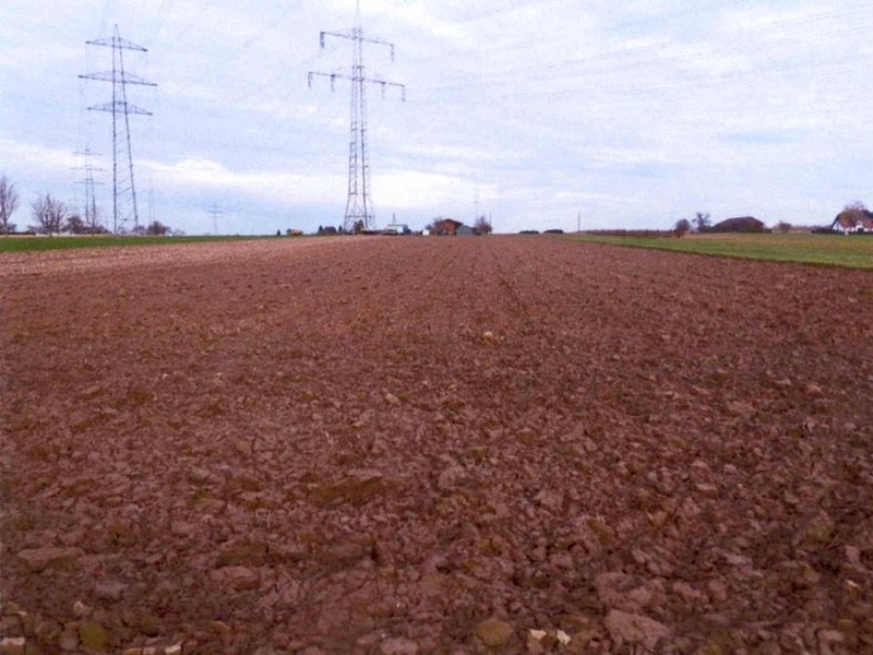 Landwirtschaftsflächen in Ludwigsburg - Bild 1