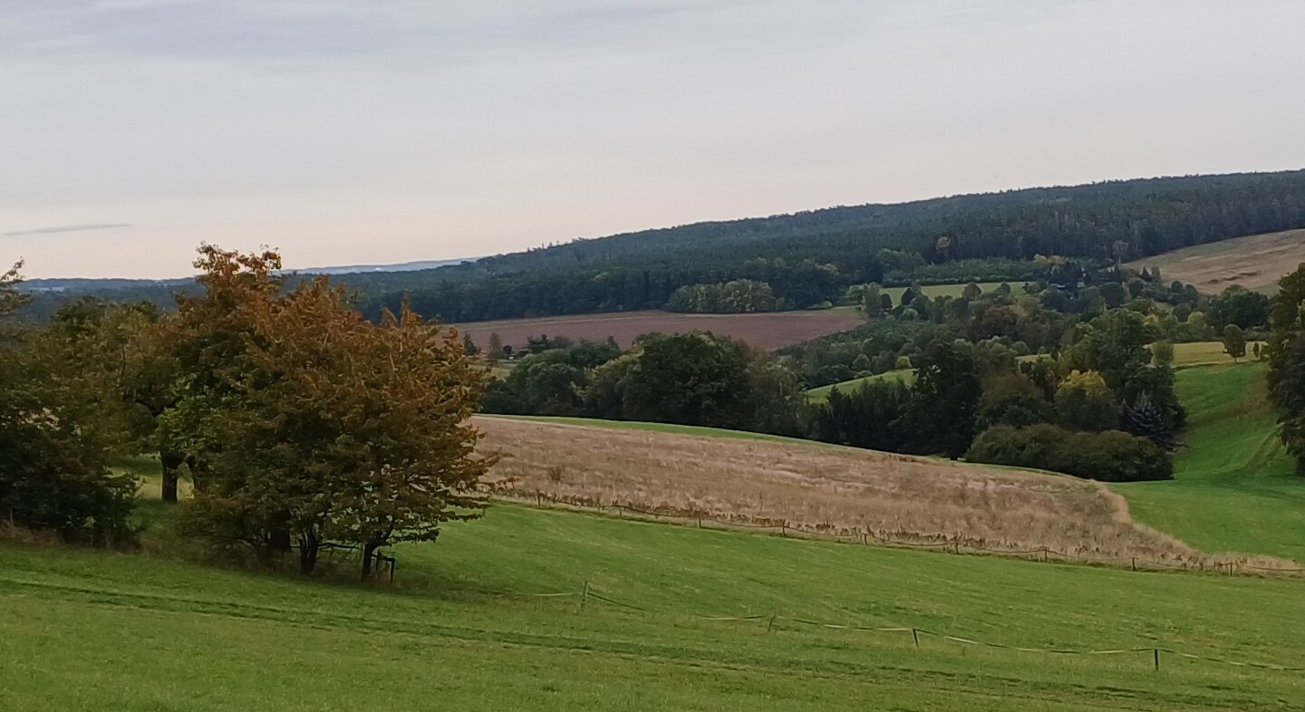 land- und forstwirtschaftlich genutztes Grundstück in Kraftsdorf - Bild 3