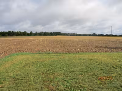 land- und forstwirtschaftlich genutztes Grundstück in Vor dem Dicken Riessen, 31595 Steyerberg - Bild 2