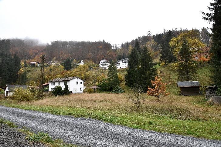 land- und forstwirtschaftlich genutztes Grundstück, land- und forstwirtschaftlich genutztes Grundstück, Einfamilienhaus in Sonneberg - Bild 4