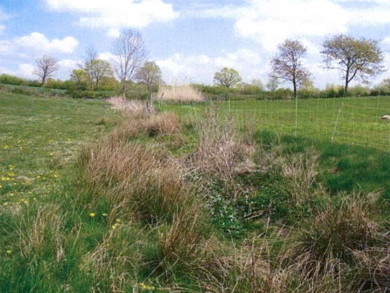 Wohnhaus mit Scheune und Grünlandflächen in Groß Boden - Bild 3