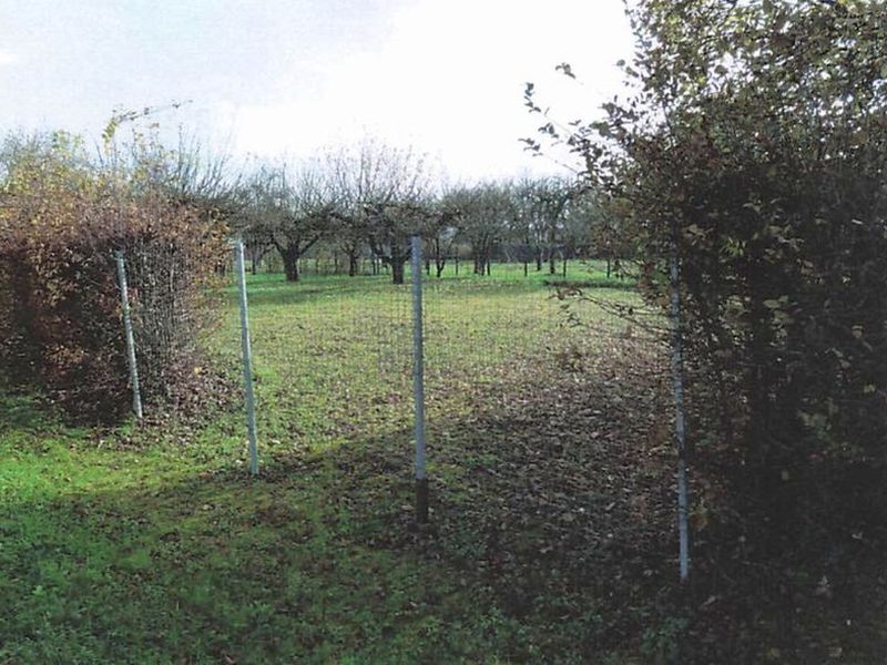 Kleingarten/Streuobstwiese in Vaihingen an der Enz - Bild 1