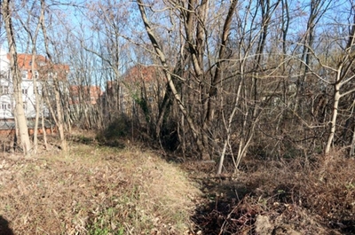 Unbebautes Grundstück (ehemaliges Betriebsgelände) in Tröglitzer Straße/Schillerstraße, 06712 Zeitz - Bild 1