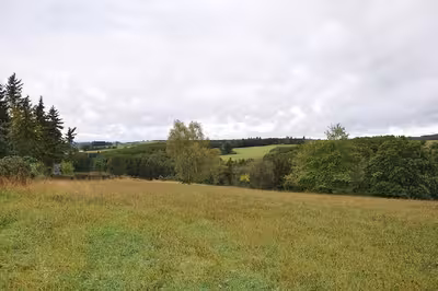 Hofanlage (Resthof) mit Grünland in Odinstraße 20, 53902 Bad Münstereifel, Mutscheid - Bild 3