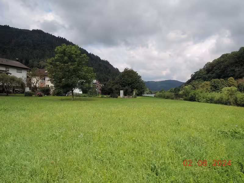 Landwirtschaftliche Fläche (Wiese) in Eberbach - Bild 1