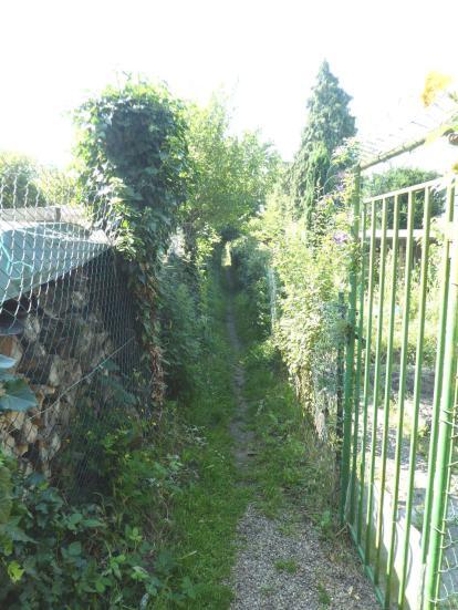 Einfamilienhaus, land- und forstwirtschaftlich genutztes Grundstück in Kandel - Bild 4