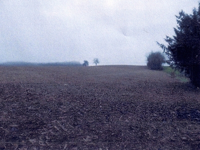 Landwirtschaftsflächen in , 69168 Wiesloch - Bild 2