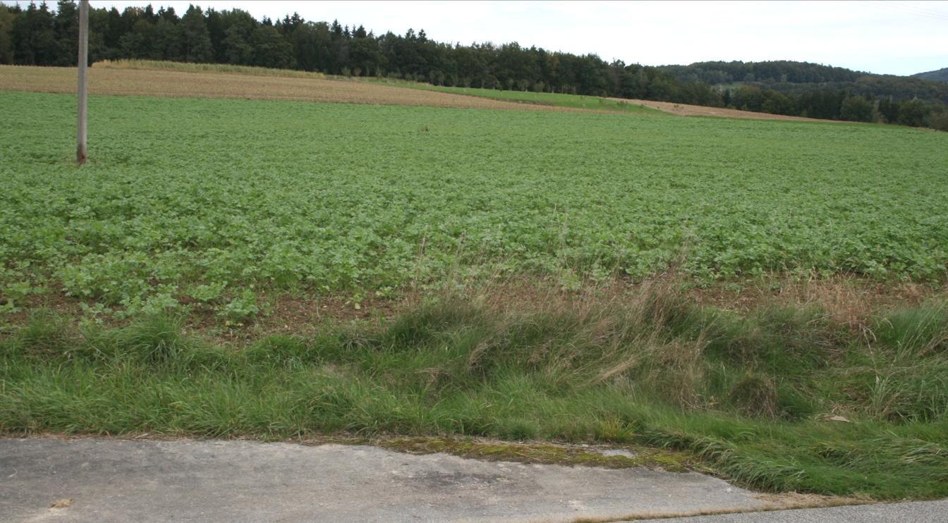 land- und forstwirtschaftlich genutzte Grundstücke in Grattersdorf - Bild 1