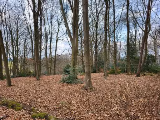 land- und forstwirtschaftlich genutztes Grundstück in Burscheid - Bild 1