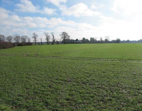 landwirtschaftlich genutzte Grundstücke in Düsseldorf - Bild 2
