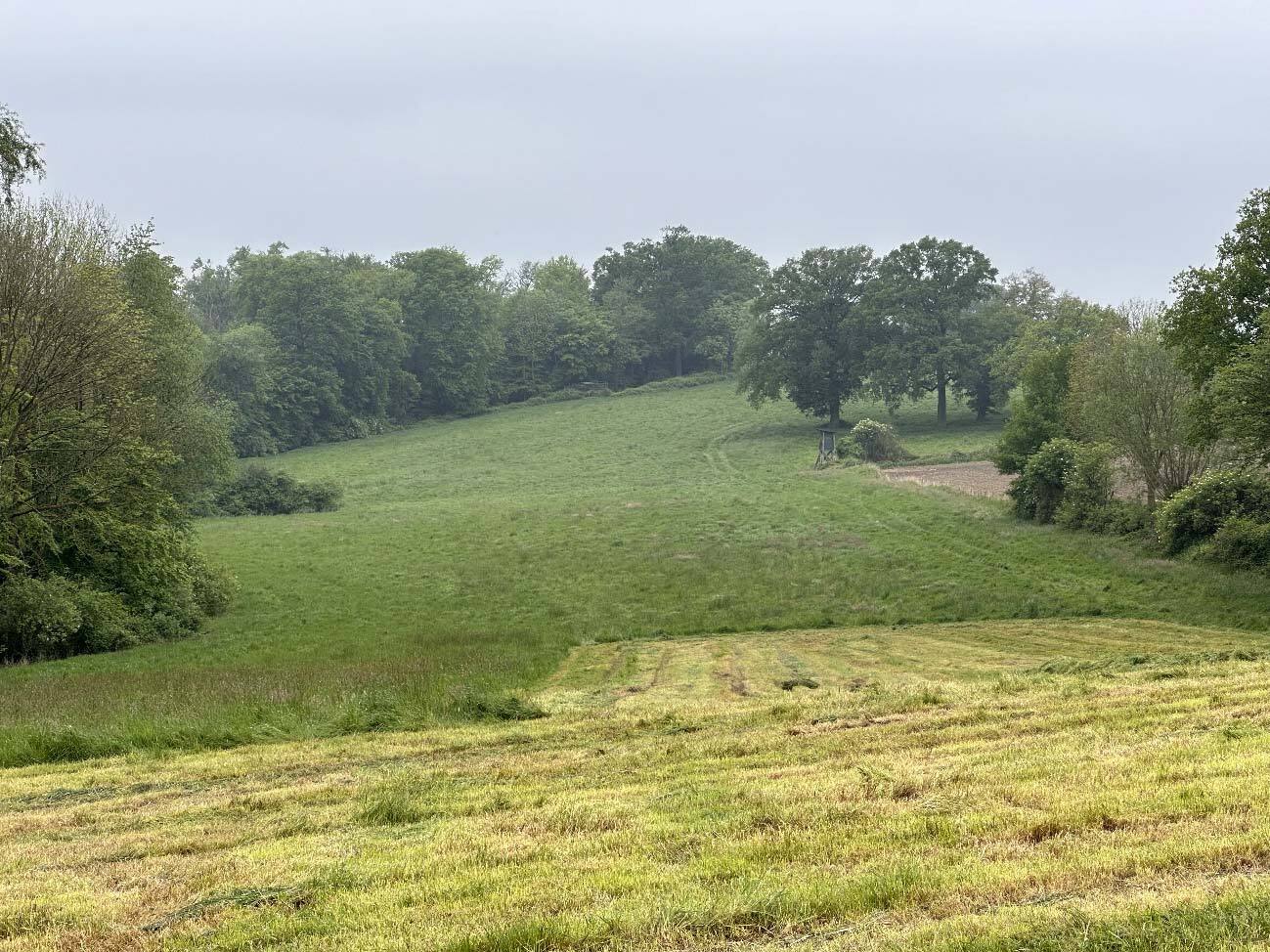 landwirtschaftlich genutztes Grundstück in Selm - Bild 4
