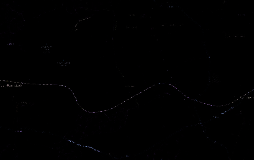 land- und forstwirtschaftlich genutztes Grundstück in Reinheim - Bild 3