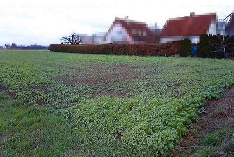 Landwirtschaftsfläche in Parksiedlung - Bild 1