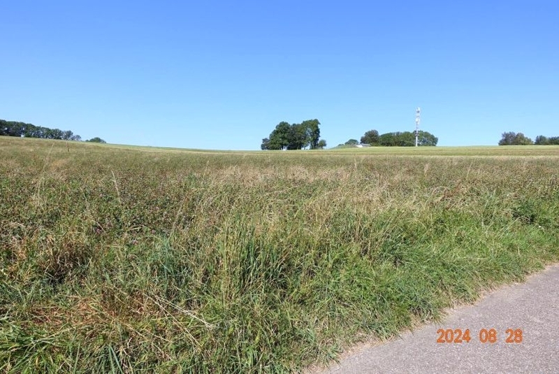 Zweifamilienhaus, landwirtschaftl. Betriebsgebäude, Landwirtschaftsflächen in Lenningen - Bild 4