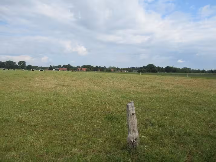 Einfamilienhaus, land- und forstwirtschaftlich genutztes Grundstück in Reepsholt - Bild 3