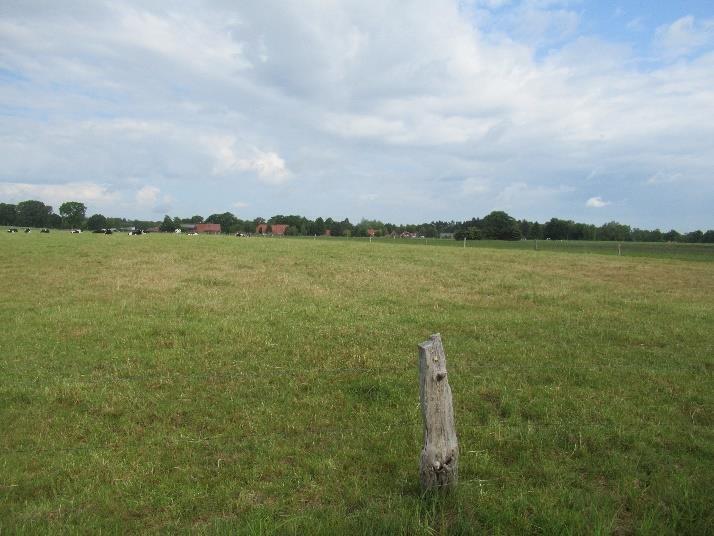 Einfamilienhaus, land- und forstwirtschaftlich genutztes Grundstück in Reepsholt - Bild 3