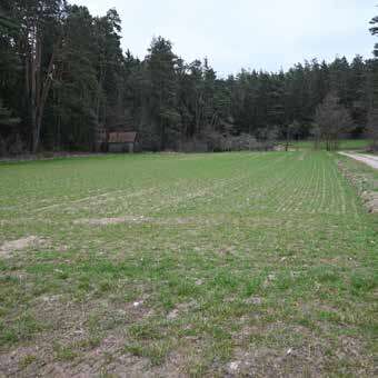 land- und forstwirtschaftlich genutztes Grundstück in Kettenhöfstetten, 00000 Kettenhöfstetten - Bild 2