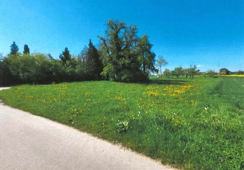 Grundstück in Bondorf - Bild 2