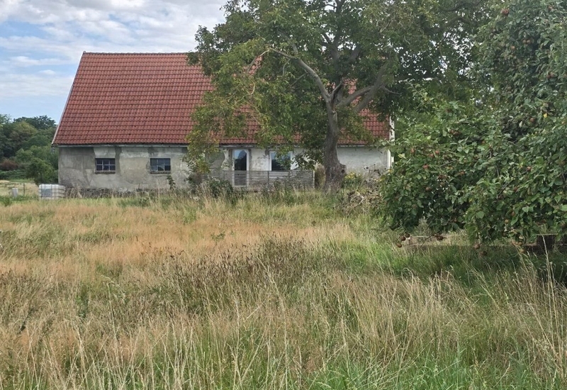 Einfamilienwohnhaus (ehem. Bauernhaus mit Stallteil und Heuboden) in Laage - Bild 3