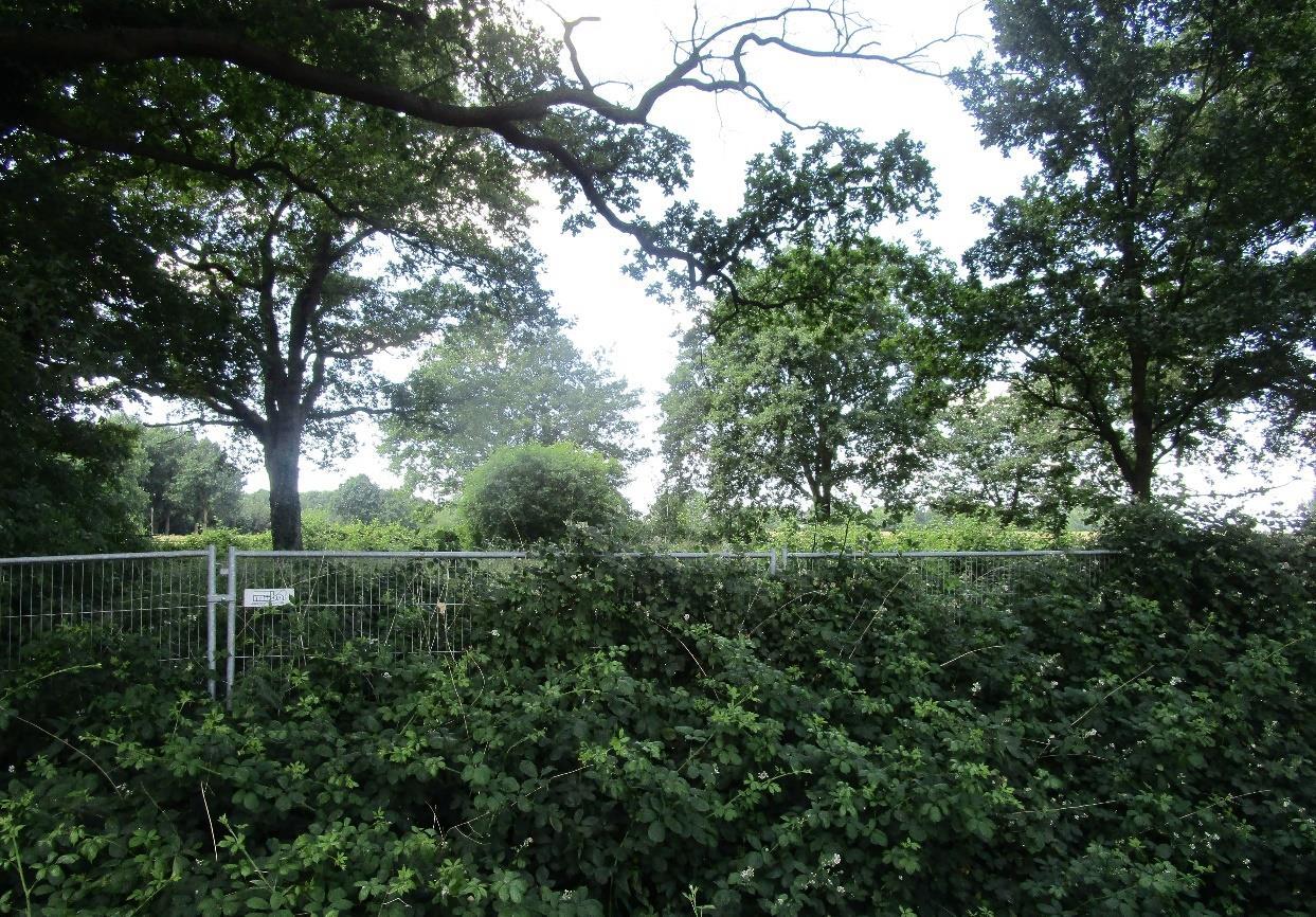 Sonstiges in Drope - Bild 4