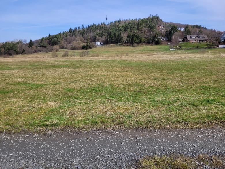 land- und forstwirtschaftlich genutztes Grundstück in Steffenberg - Bild 1