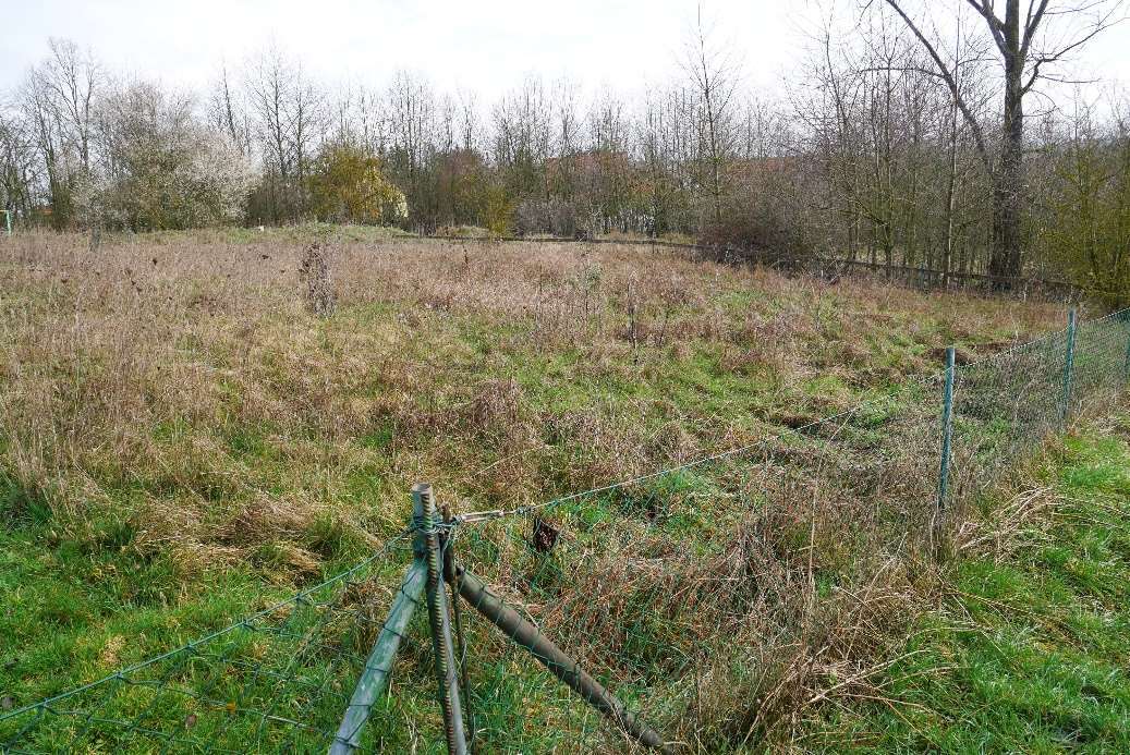 unbebautes Grundstück in Nordhausen - Bild 4