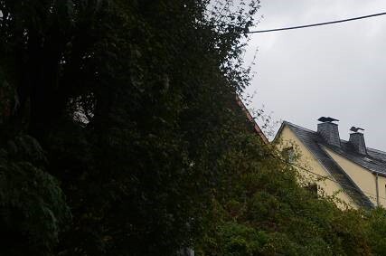 Einfamilienhaus in Schmalkalden - Bild 4