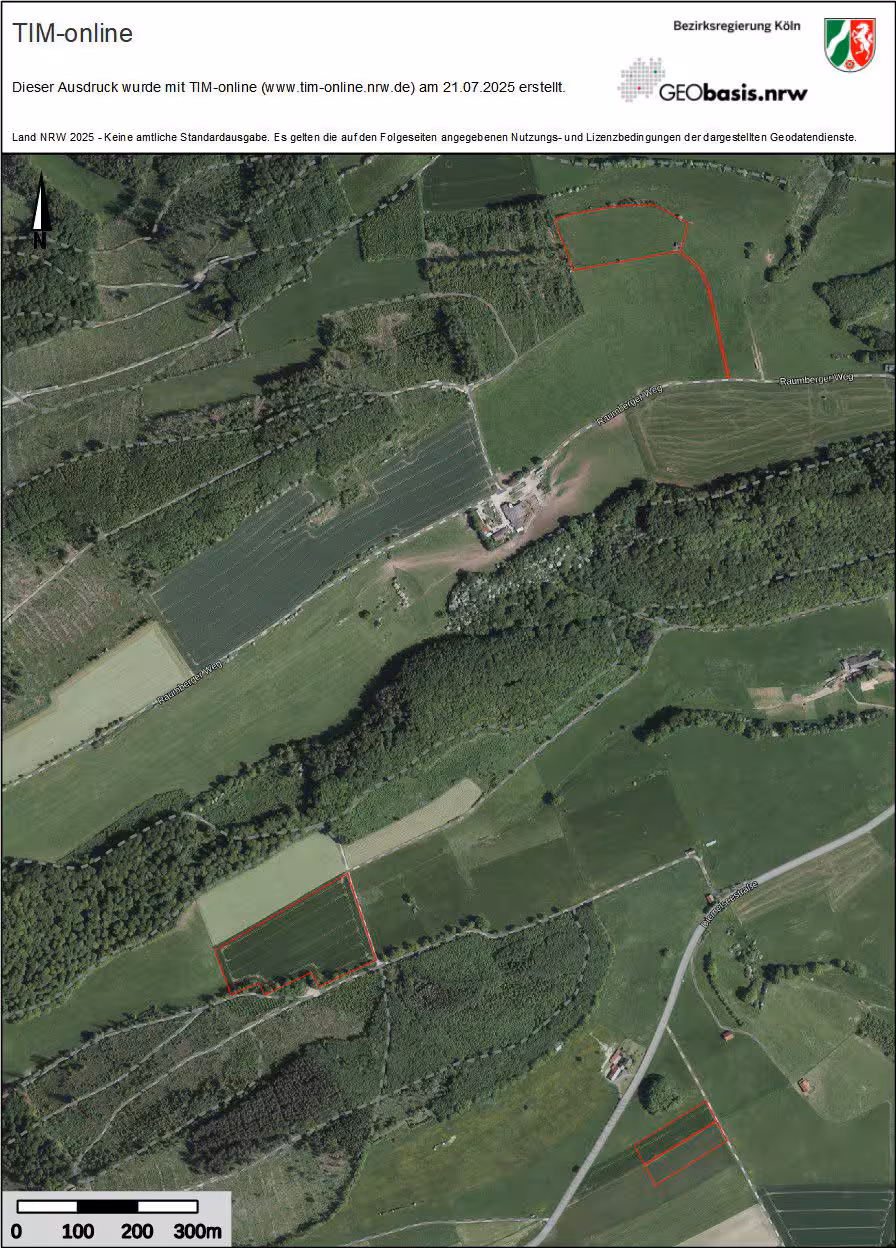 Sonstiges, Mehrfamilienhaus, Einfamilienhaus, diverse land- und fortwirtschaftlich genutzte Grundstücke in Marsberg - Bild 4