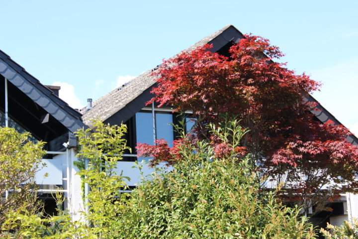 Garage, Einfamilienhaus, Doppelhaushälfte in Alfter - Bild 4