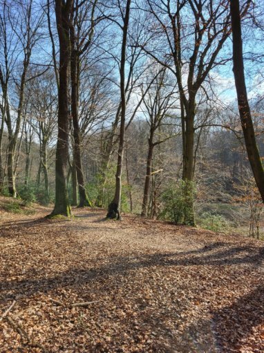 land- und forstwirtschaftlich genutztes Grundstück, land- und forstwirtschaftlich genutztes Grundstück in Burscheid - Bild 1