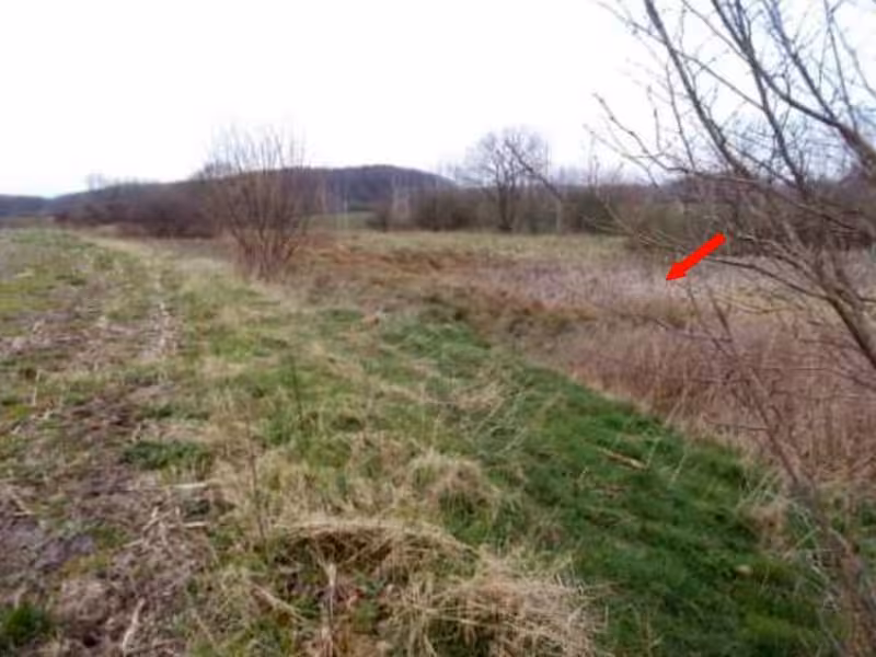 Resthof und Landwirtschaftsflächen in Tolk - Bild 1