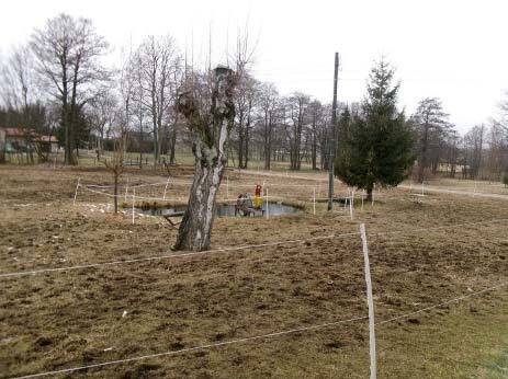 Zweifamilienhaus in Großhartmannsdorf - Bild 3