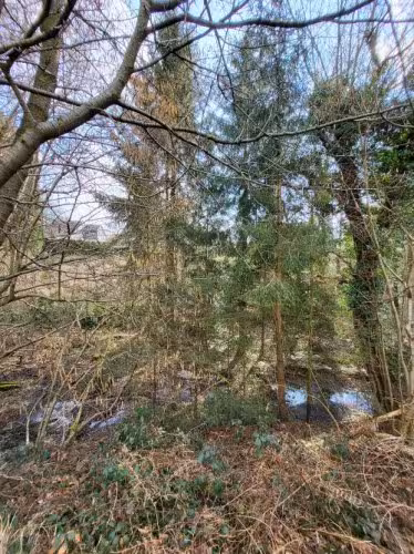 land- und forstwirtschaftlich genutztes Grundstück in Pützwiesen, 51399 Burscheid, Blasberg - Bild 1