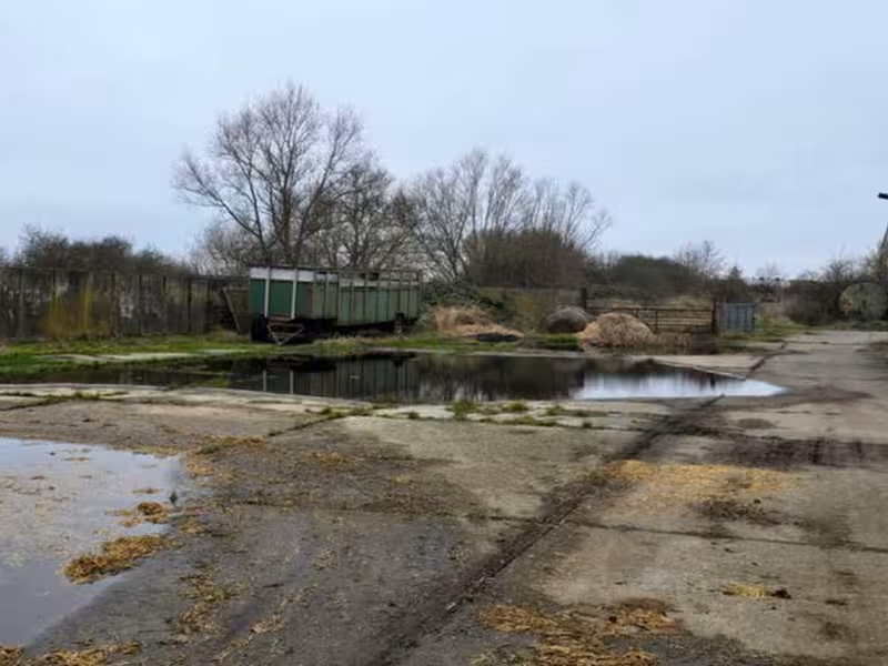 Ehemalige Rindermastanlage in Schönberg - Bild 4